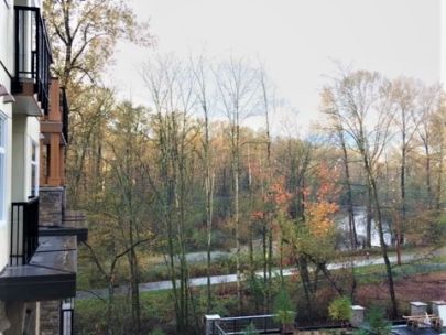 517-2495-wilson-avenue-port-coquitlam-bc-v3c-0e4-2