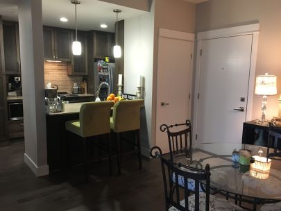 #517 2495 Wilson Avenue, Port Coquitlam BC V3C 0E4