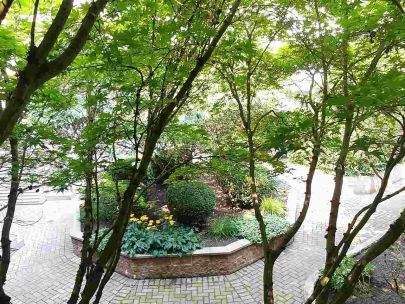 320-528-rochester-ave-coquitlam-british-columbia-v3k7a5-2