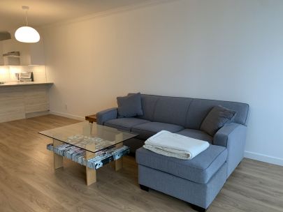 1001-3970-carrigan-court-burnaby-bc-v3n4s5-2