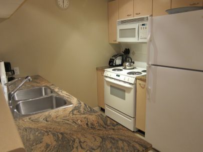 1511 - 1367 Alberni Street, Vancouver V6E 4R9 (The Lions)