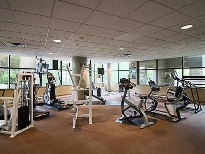 1511-1367-alberni-street-vancouver-v6e-4r9-the-lions