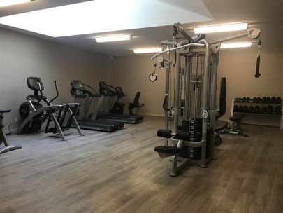 508-w-29th-ave-vancouver-british-columbia-canada-v5z-2h7