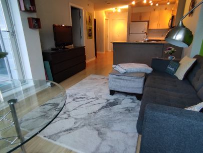 2205-550-taylor-st-vancouver-bc-v6b-1r1-canada