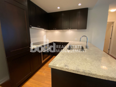 raffles-1001-821-cambie-street-vancouver-2