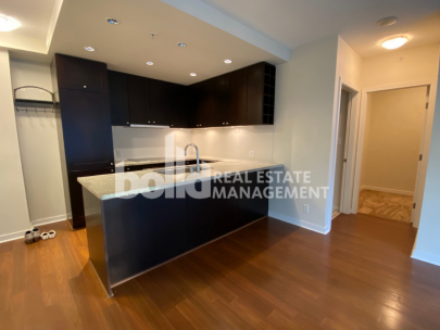 raffles-1001-821-cambie-street-vancouver-2