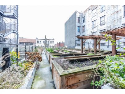 420-138-e-hastings-st-vancouver-bc-canada-v6a-1n4