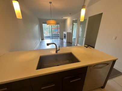 215-3333-main-street-vancouver-bc-v5v3m8-2