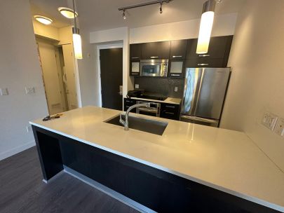 215-3333-main-street-vancouver-bc-v5v3m8-2