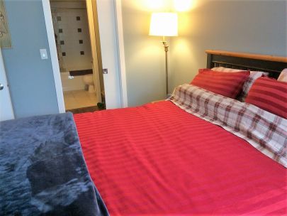 933-hornby-street-vancouver-bc-canada-v6z-3g5