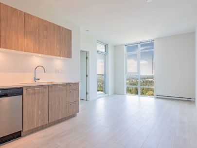 BRAND NEW! 2 Bed/1Bath For Rent near Lougheed Town Centre