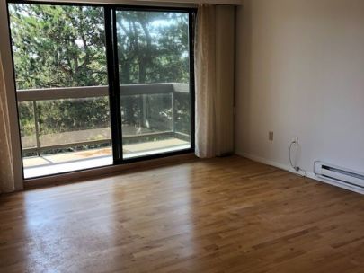Cat-Friendly 2 Bed/1Bath For Rent at Riverdale Richmond