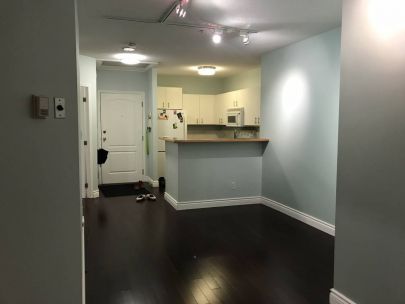 310-1177-hornby-st-vancouver-bc-v6z-2e9