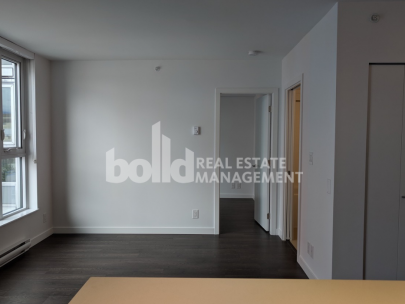 605-the-ballantyne-933-e-hastings-st-vancouver-bc-v6a-1r9-canada-2