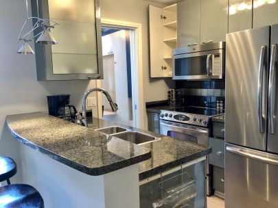 #503 1068 Hornby Street, Vancouver BC V6Z2Y7